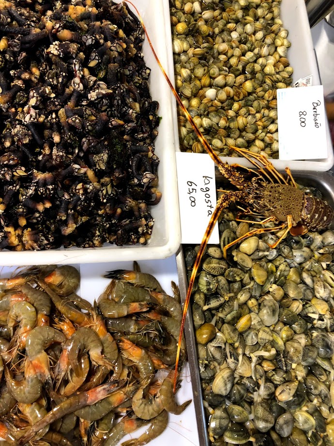 Clams, prawns and shellfish for sale at the Aljezur market