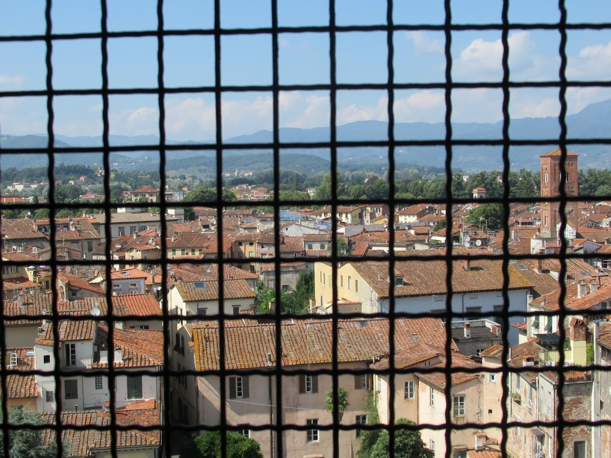 Lucca rooftops seen through an iron grate