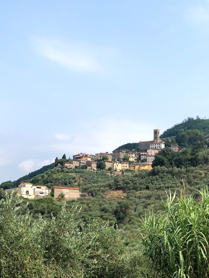 Hillside village above olive groves near Uzzano, Tuscany