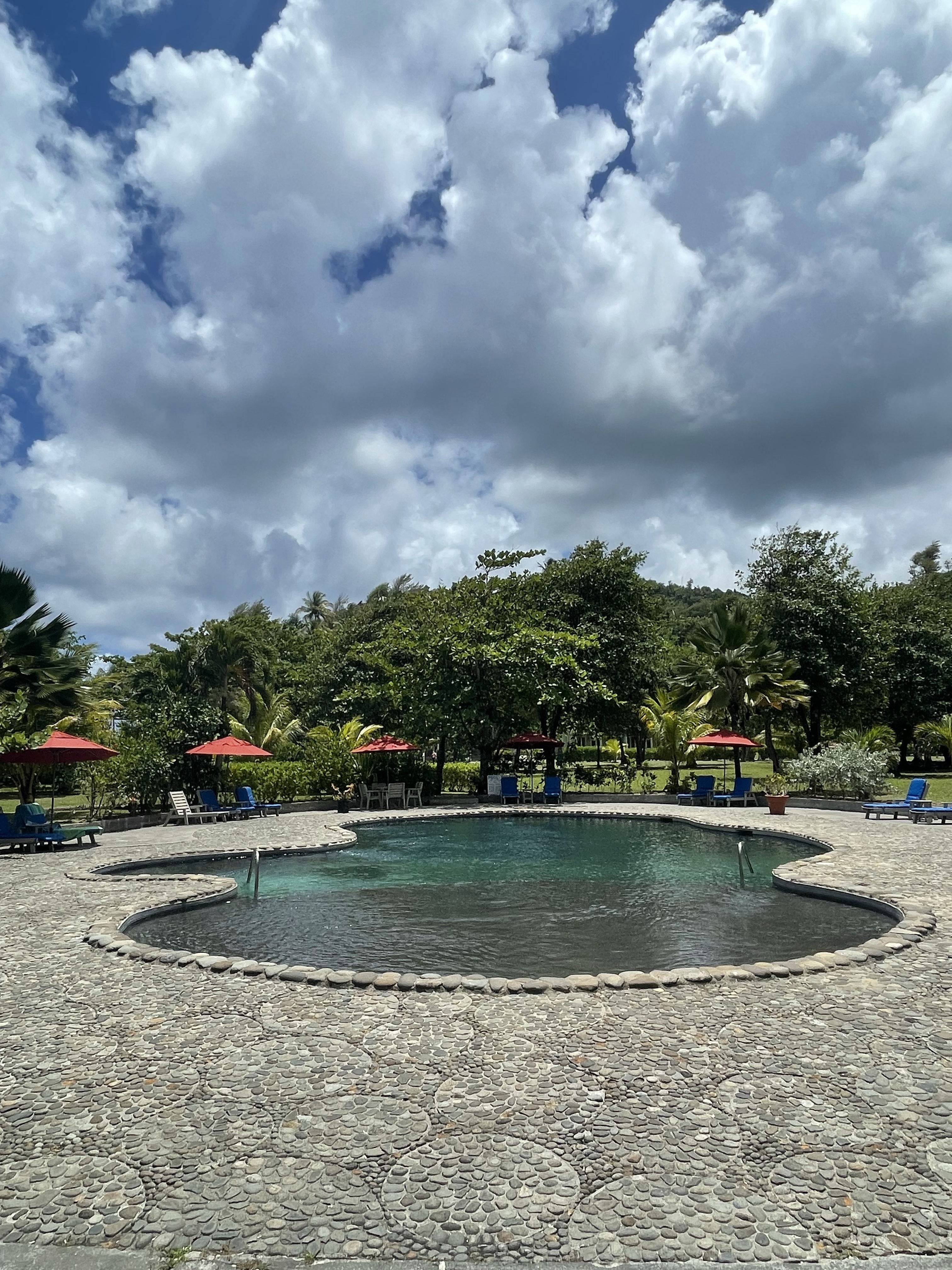 The pool and gardens at Rosalie Bay resort in Dominica