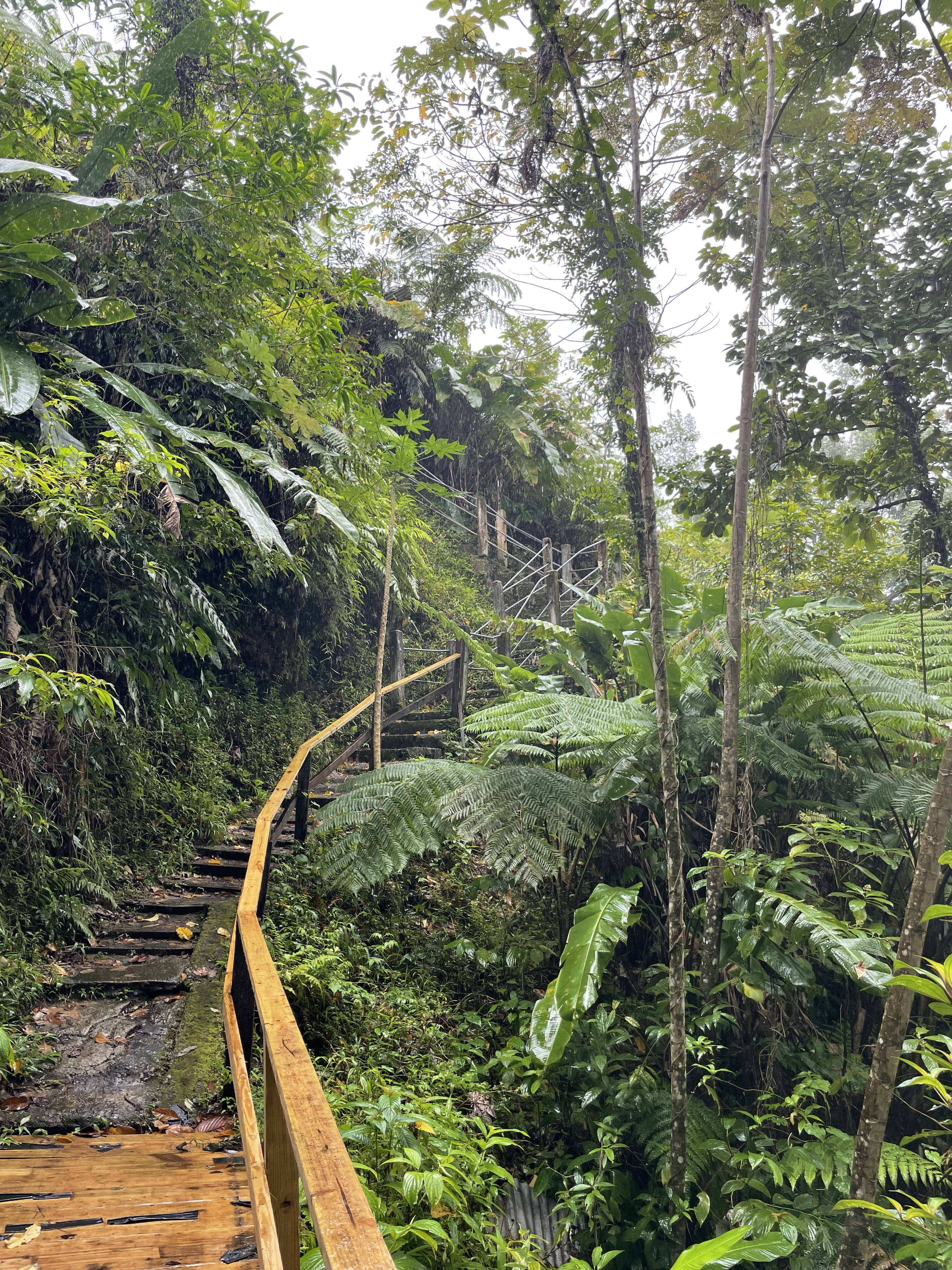 The pool at the bottom of Jacko Falls in Dominica