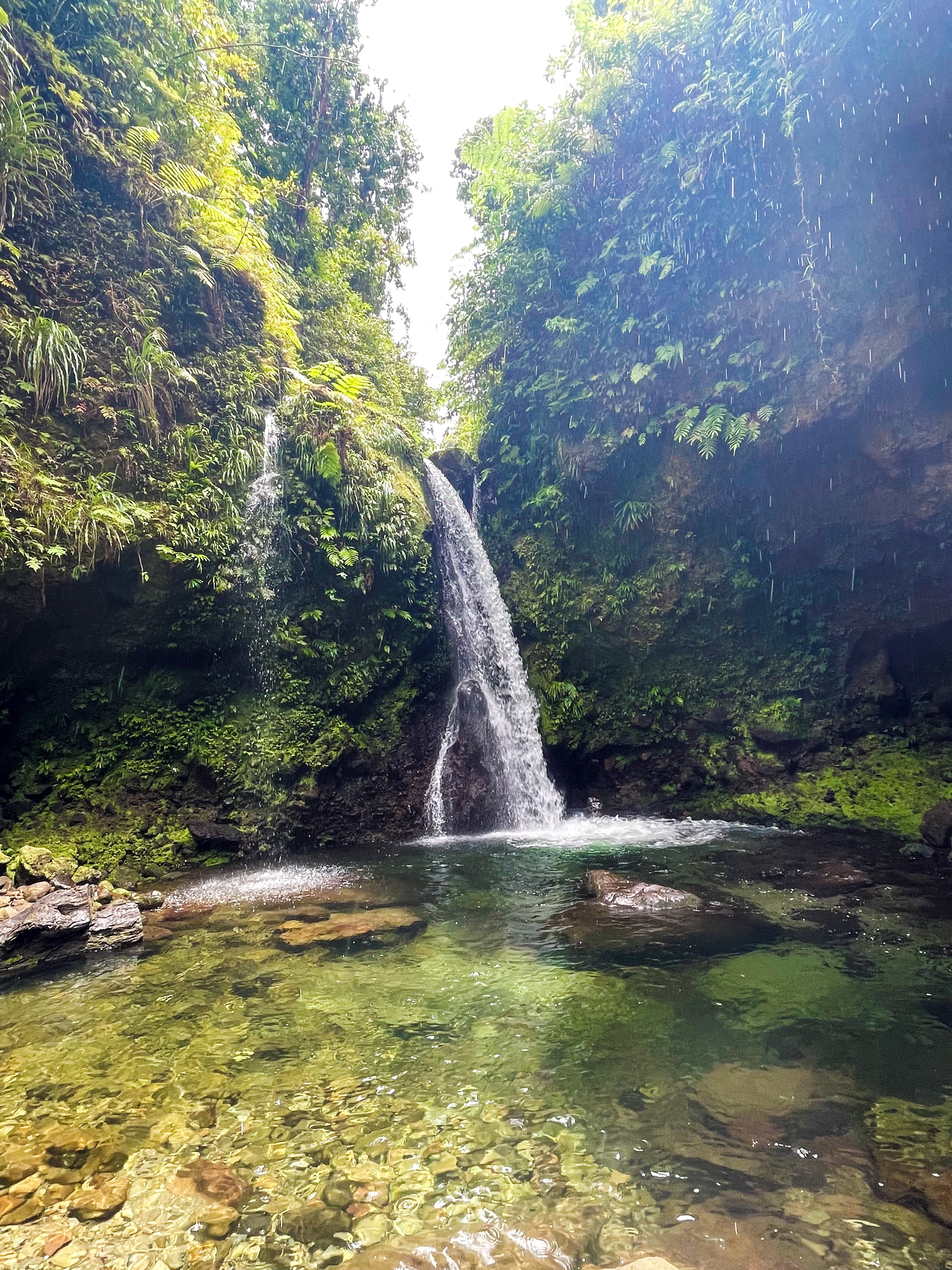 Jacko Falls dropping into a clear pool in the Dominica rainforest