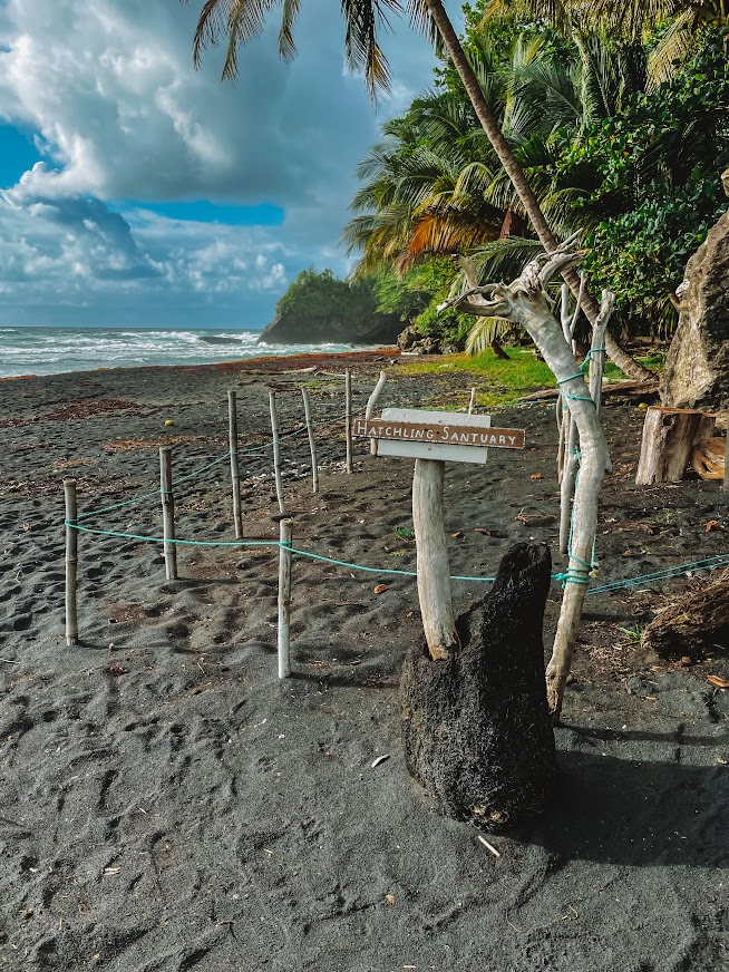Sea turtle nesting area on the black sand beach at Rosalie Bay, Dominica