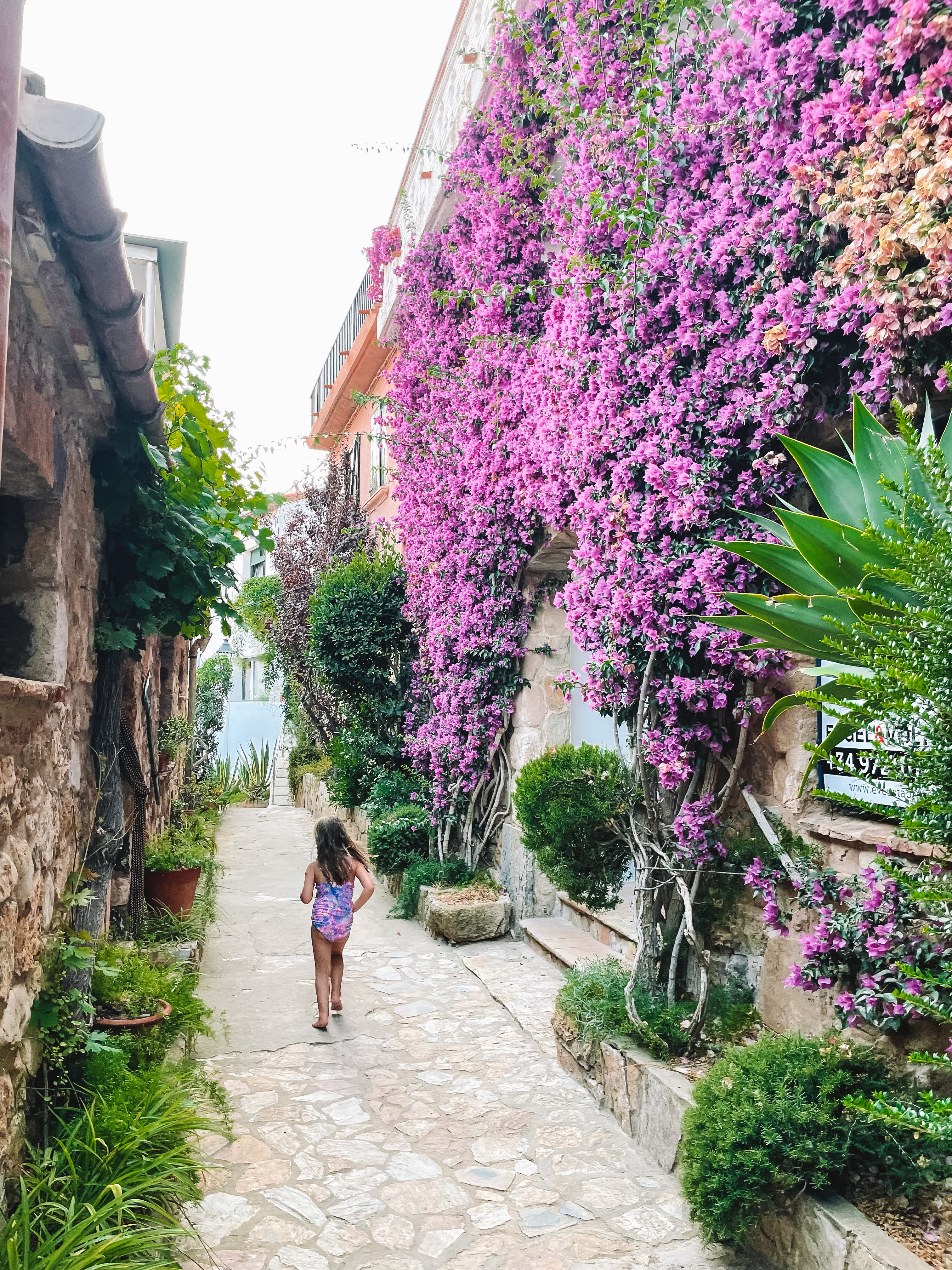 Bougainvillea over a narrow lane in a Costa Brava village