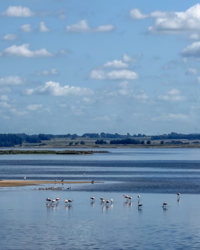 27-IMG_6696